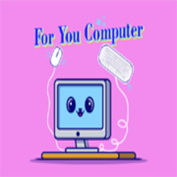 For You Computer Company Profile